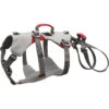 Ruffwear Doubleback Harness Hondenharnas 2 Ruffwear Doubleback Harness Hondenharnas -Kampeerartikelen Winkel iview 5020366 001 pic1