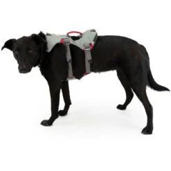 Ruffwear Doubleback Harness Hondenharnas -Kampeerartikelen Winkel iview 5020366 001 pic5