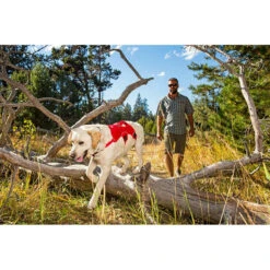 Ruffwear Web Master Harness Hondenharnas -Kampeerartikelen Winkel iview 5026845 011 pic4 1