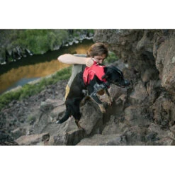 Ruffwear Web Master Harness Hondenharnas -Kampeerartikelen Winkel iview 5026845 011 pic6 1