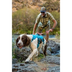 Ruffwear Web Master Harness Hondenharnas -Kampeerartikelen Winkel iview 5026845 011 pic7