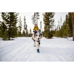 Ruffwear Polar Trex - 1 Paar - Hondenschoenen 10 Ruffwear Polar Trex - 1 Paar - Hondenschoenen -Kampeerartikelen Winkel iview 5033737 007 pic5