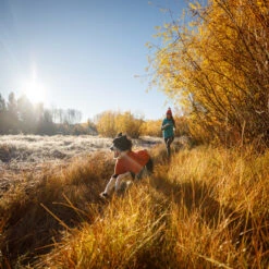 Ruffwear Fernie Hondenjas -Kampeerartikelen Winkel iview 5040726 001 pic5