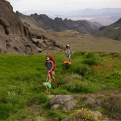 Ruffwear Crag Leash Hondenlijn -Kampeerartikelen Winkel iview 5042055 004 pic5