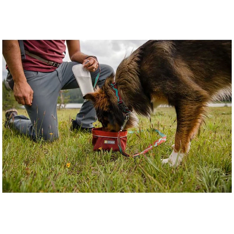 Ruffwear Flat Out Honden Halsband 5 Ruffwear Flat Out Honden Halsband - Afbeelding 3