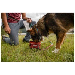 Ruffwear Flat Out Honden Halsband 7 Ruffwear Flat Out Honden Halsband -Kampeerartikelen Winkel iview 5046451 010 pic3