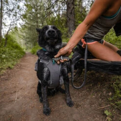 Ruffwear Roamer Hondenriem -Kampeerartikelen Winkel iview 5046455 003 pic2